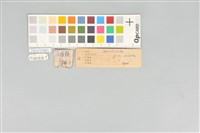 五色鳥藏品圖，第12張